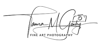 Who Is Tamra Gentry?